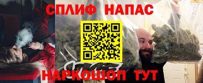 сатива Бузулук