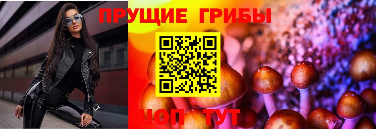 Псилоцибиновые грибы GOLDEN TEACHER Чайковский